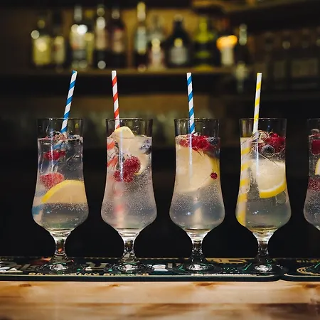 ゲストハウス Javorina